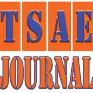 TSAE-Jounal